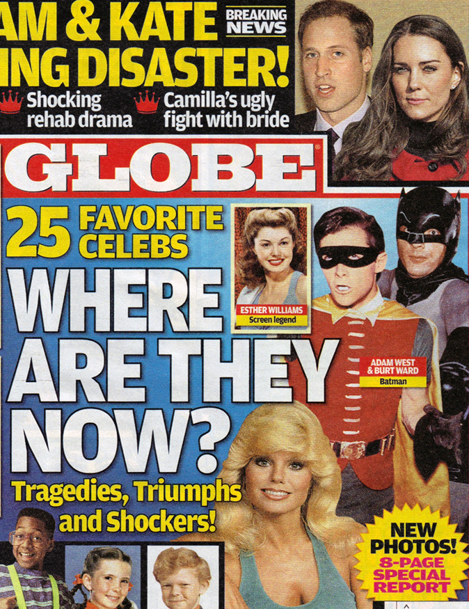 Globe Cover